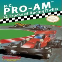 RC Pro Am Racing